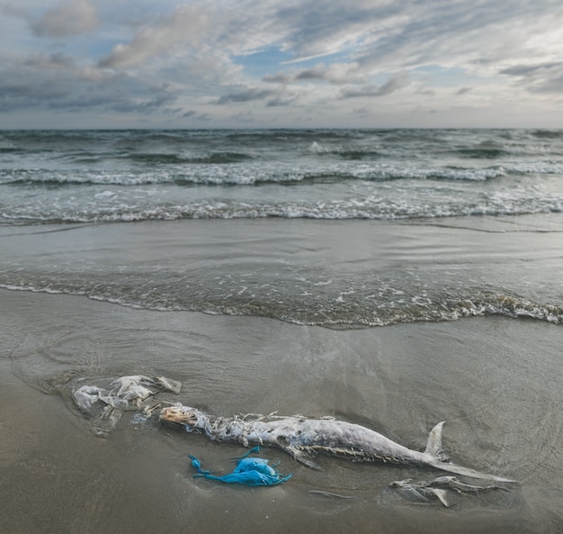 Immondizia di plastica sulla spiaggia in riva al mare