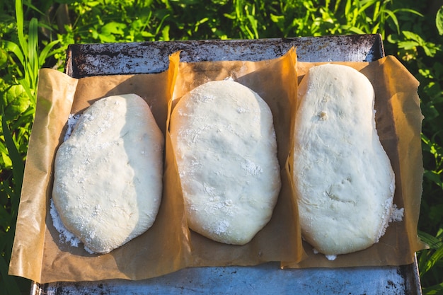 Impasto lievitante per ciabatta. Pasta acida di pane naturale