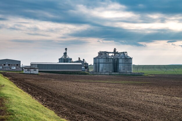 Impianti di agrolavorazione e produzione per la lavorazione e silos d'argento per asciugatura pulitura e stoccaggio di prodotti agricoli farina cereali e grano Elevatore per granaio