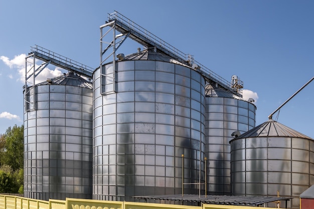 Impianti di agrolavorazione e produzione per la lavorazione e silos d'argento per asciugatura pulitura e stoccaggio di prodotti agricoli farina cereali e grano Elevatore per granaio