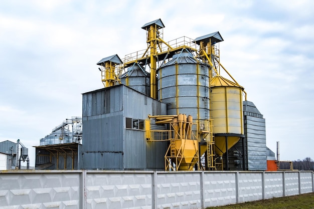 Impianti di agrolavorazione e produzione per la lavorazione e silos d'argento per asciugatura pulitura e stoccaggio di prodotti agricoli farina cereali e grano Elevatore per granaio