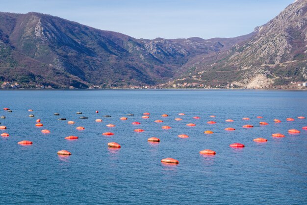 Impianto acquatico di allevamento di ostriche, Mare Adriatico, Montenegro