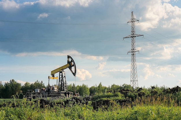 Impianto di perforazione della presa della pompa del petrolio greggio e linea elettrica