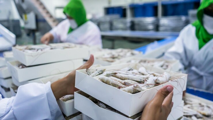 Impianto di produzione di gamberi d'allevamento che confeziona gamberi bianchi congelati in una scatola