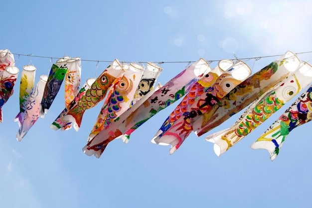 Impiccagione giapponese della carpa di Koi Nobori. Bandiera dei pesci Koi.