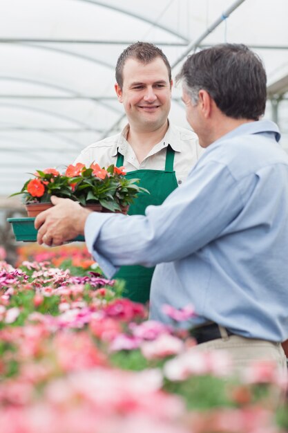 Impiegato che dà una scatola di fiori all&#39;uomo