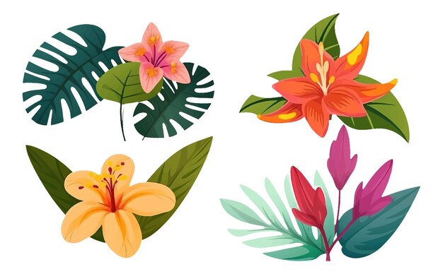 Impostare illustraion vettoriale di foglie tropicali e fiori isolati su sfondo bianco