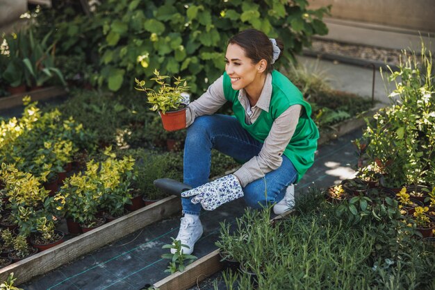 Imprenditrice di giovane donna che fa giardinaggio nel garden center, tenendo un vaso di fiori e controllando la pianta.