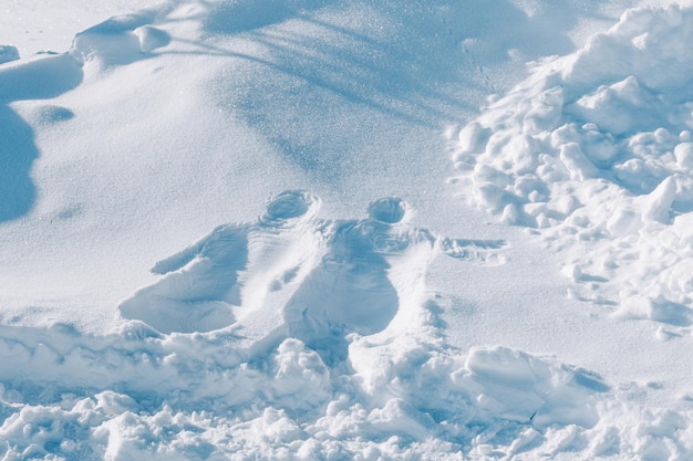 Impronta del corpo di una persona sulla neve Figura nella neve da due corpi di un uomo e una donna Intrattenimento invernale