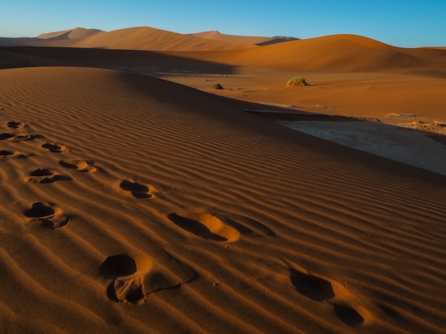 Impronta sulla duna di sabbia nel vasto deserto