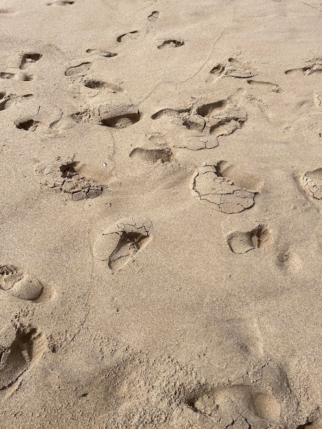 Impronta sulla spiaggia di sabbia gialla