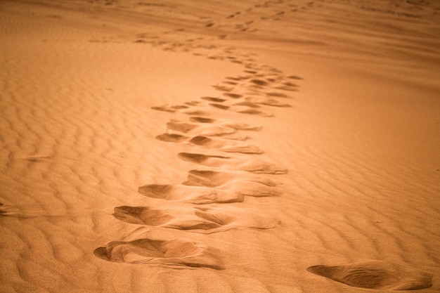 impronte nella sabbia su una duna nel deserto in un bellissimo sole nel bagliore successivo