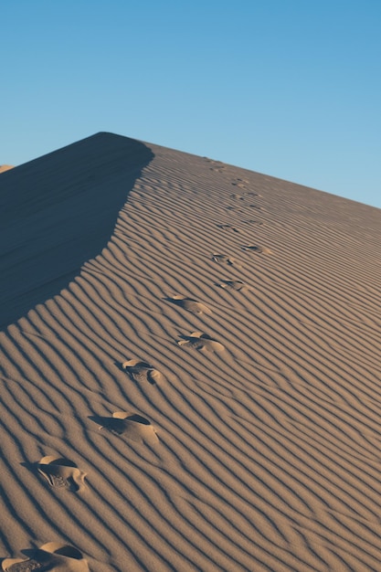 impronte nelle dune del deserto