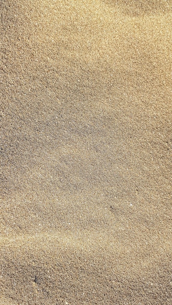 impronte strutturate nella sabbia