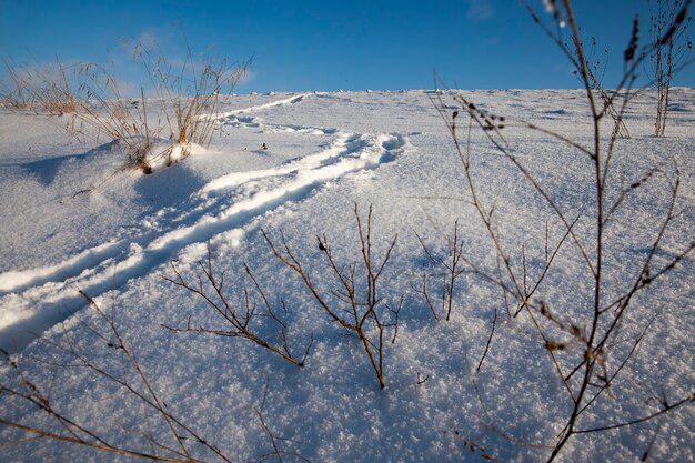 Impronte sui cumuli di neve dopo camminate, gelate e nevicate invernali