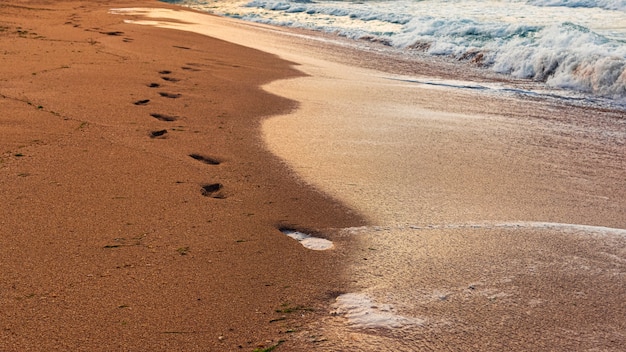 Impronte umane nella sabbia in riva al mare