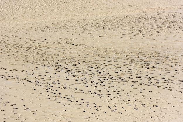 Impronte umane sulla sabbia del fondo del mare durante la bassa marea