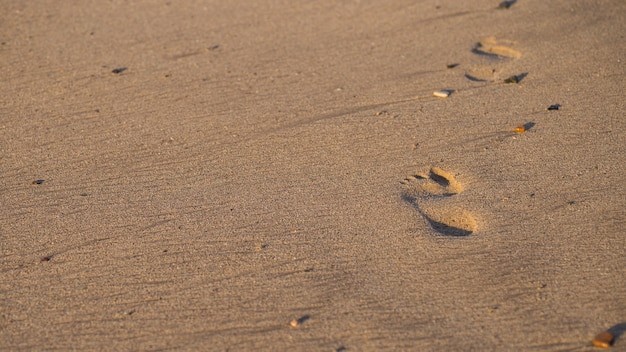 Impronte umane sulla spiaggia di sabbia