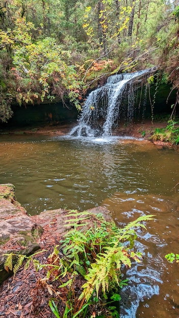 In armonia con la stagione Un affascinante paesaggio autunnale lungo il fiume Duero Soria