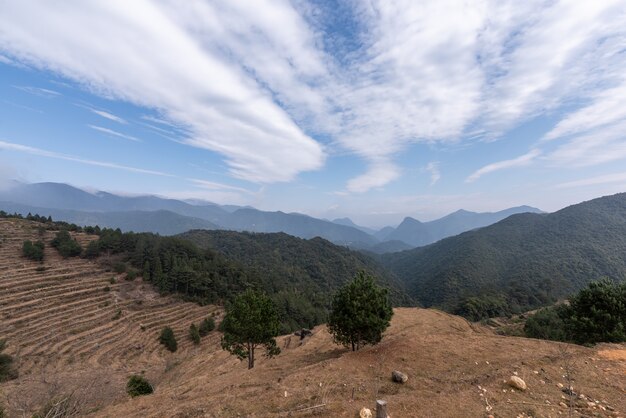 In autunno, i raccolti e le erbacce nei campi rurali appassiscono e ingialliscono e il cielo è molto blu