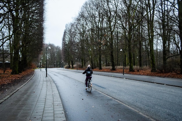 In bicicletta intorno a Malmö