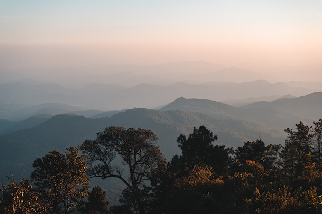 In collina, vista sul bosco di montagna la sera