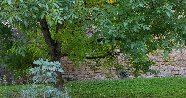 In Germania, in Baviera, Rothenburg ob der Tauber, città fiabesca, mura di castello, spazio verde urbano