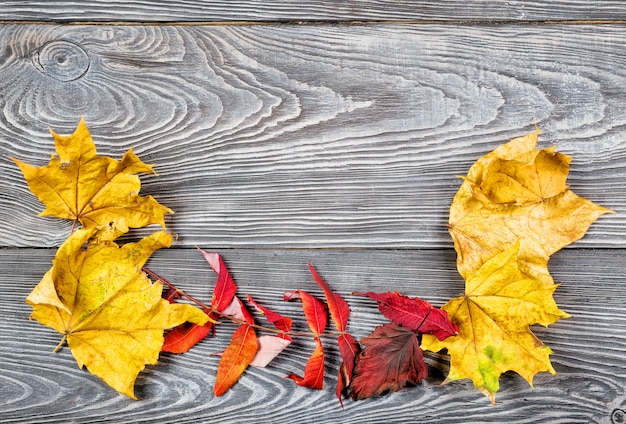 In legno con le foglie d'autunno