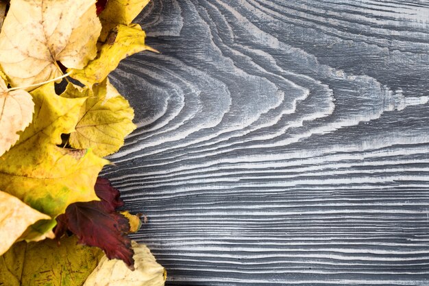 In legno con le foglie d'autunno