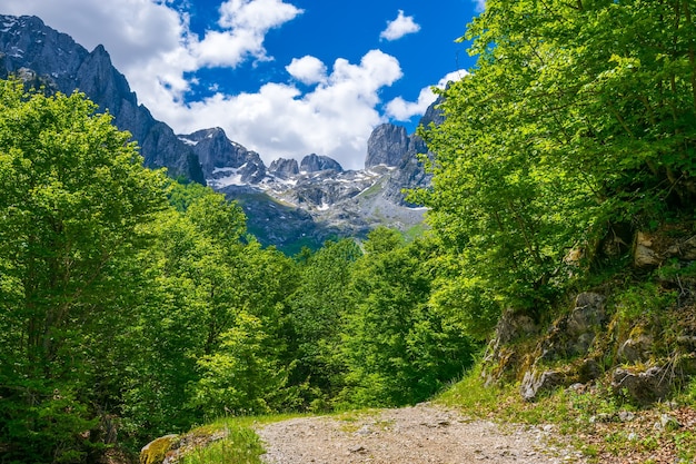 In montagna si trova una tortuosa strada rocciosa.