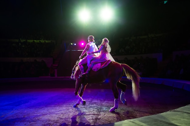 In sella a un cavallo da circo