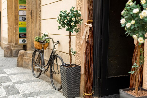 In stile vecchia Europa, vicino all'ingresso della casa è parcheggiata una bicicletta con un cesto di fiori freschi