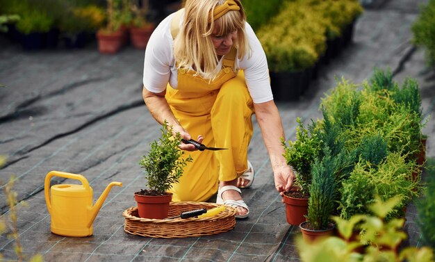 In uniforme di colore giallo La donna anziana è in giardino durante il giorno Concezione delle piante e delle stagioni