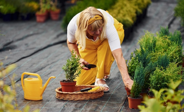 In uniforme di colore giallo La donna anziana è in giardino durante il giorno Concezione delle piante e delle stagioni