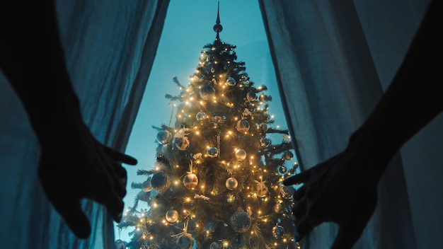 Inaugurazione dell'albero di Natale illuminato