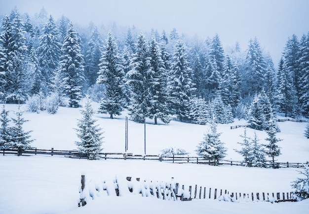 Incantevole paesaggio invernale pittoresco