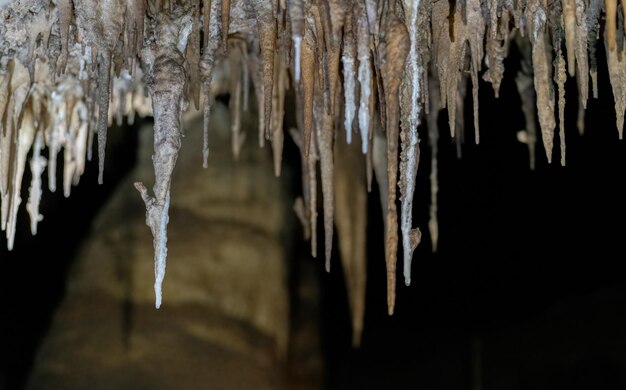 Incantevoli stalattiti appese al soffitto della grotta con spazio per il testo