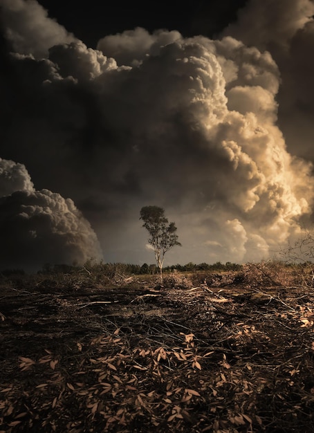 Incendi e deforestazione in Thailandia Sfondo del concetto di riscaldamento globale e disastri naturali