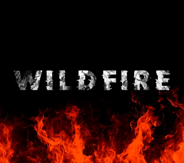 Incendi selvatici furia fuoco sfondo nero con fuoco realistico