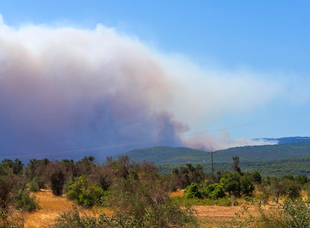 Incendio estivo incendio doloso con grande fumo in montagna in un villaggio greco sull'isola di Evia Grecia