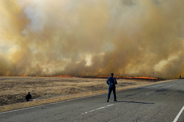 Incendio forestale. I pompieri estinguono un incendio nella foresta inondando l'acqua