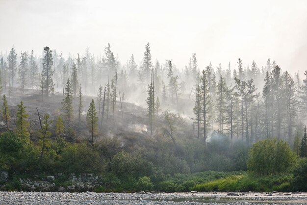 Incendio in Siberia