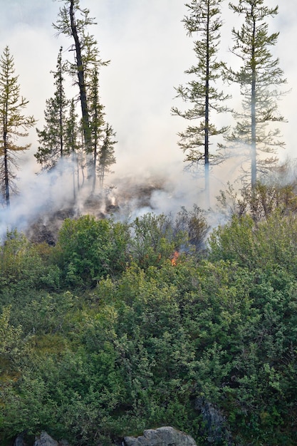 Incendio in Siberia