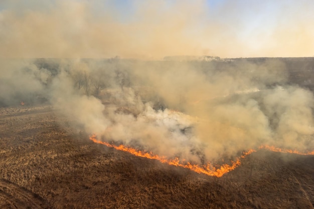 Incendio nel campo che brucia fiamme e fumo di erba secca