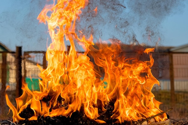 Incenerimento dei rifiuti in azienda. Inquinamento atmosferico da fumo dal focolare