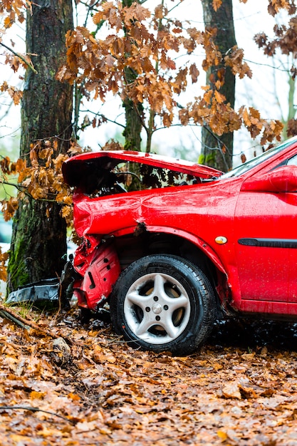 incidente, macchina schiantata contro un albero