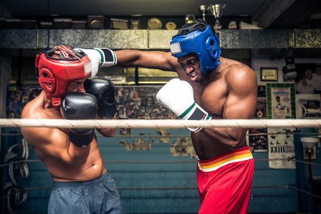 Incontro di boxe