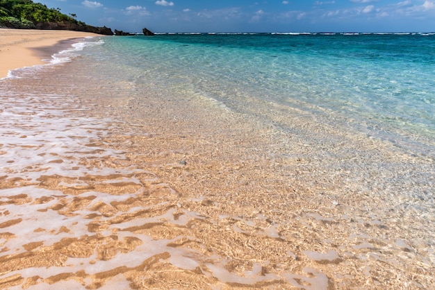 Incredibile acqua di mare cristallina turchese su una spiaggia paradisiaca in una giornata di sole