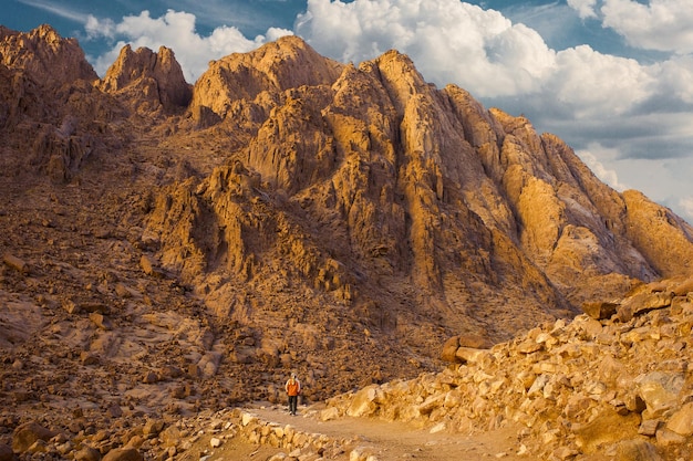 Incredibile alba al monte Sinai Bella alba in Egitto Bella vista dalla montagna