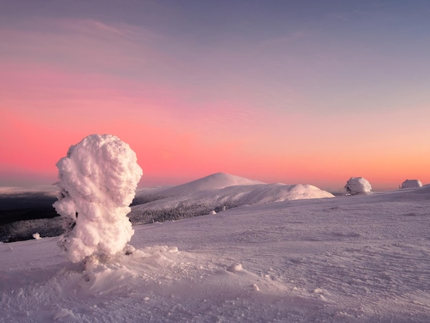 Incredibile alba rosa fredda su una collina invernale innevata Vista della tundra innevata e delle colline Natura aspra artica Fiaba mistica della foresta del gelo invernale